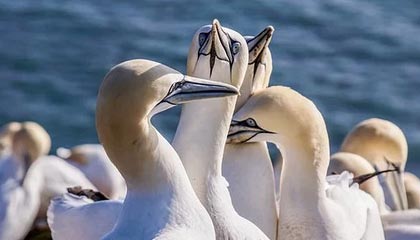 别再想着什么击沉美航母了！击沉一艘航母有多难？简直难以想象