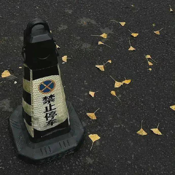 "没点大病都刷不到的句子"
