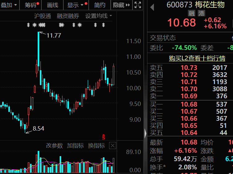 300378,AI收入暴增超102%!机构密集关注