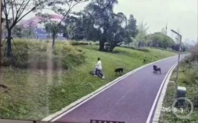 母女遭4条大型犬撕咬，江西赣州警方通报