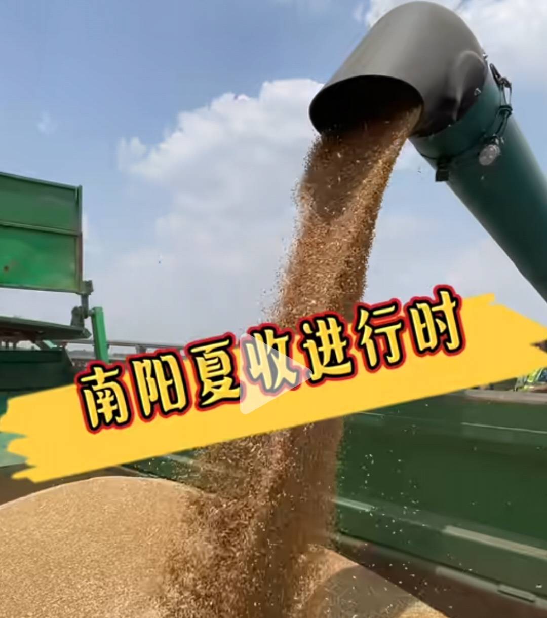 央媒聚焦下,南阳农民为“中国粮仓”的坚守与担当