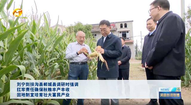 河南省委书记，前往田间地头，拿起玉米了解情况