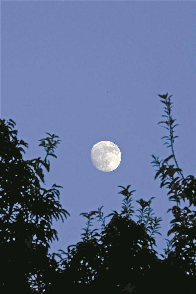 超级月亮邂逅中秋！今天厦门天气晴好，中秋夜皓月当空！