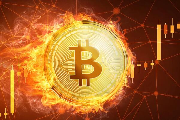 打仗btc(打仗的生肖是哪几肖)