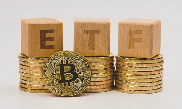 证券btc(证券账户开户哪家好)
