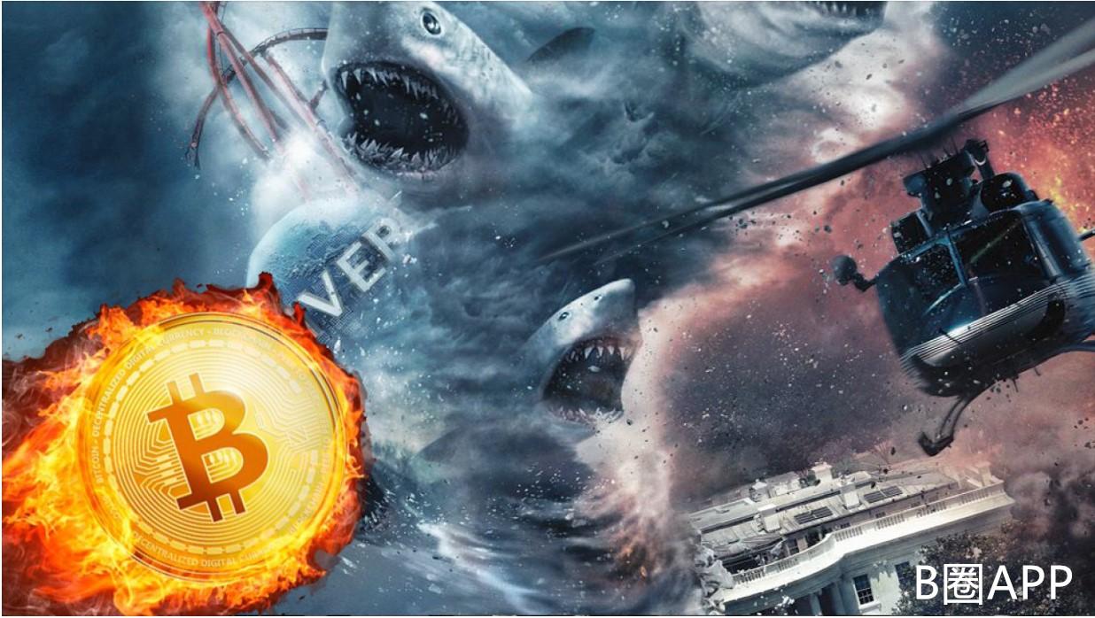 关于btc故事的信息