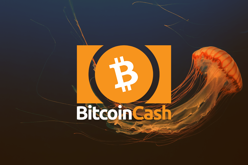 btc编译(btc今日行情)