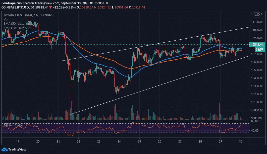 btc的今日行情分析(btc今日行情最新分析)