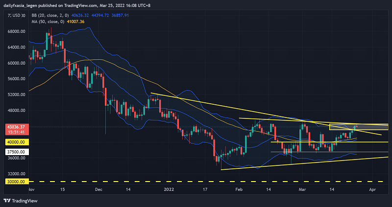btc行情最新价格(btc行情最新价格美元新浪)
