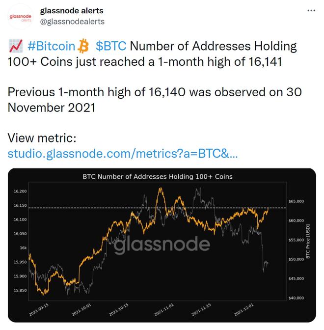 btc地址查询(btc地址查询账户余额)