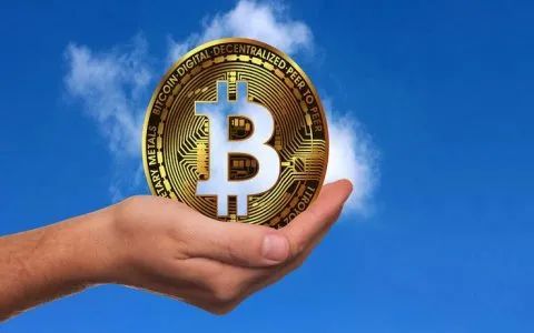 BTC谁在亏(btc亏了50万)
