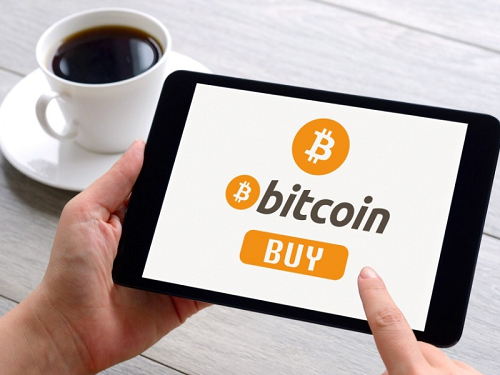 金网btc(金网羽绒价格)