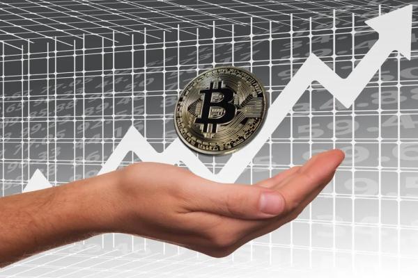 半个BTC(半个脑袋疼连眼珠子都疼)