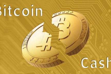货币数字btc(货币数字化是什么意思)