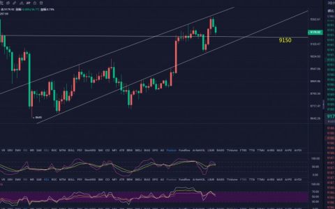 BTC测试网(btc cel)