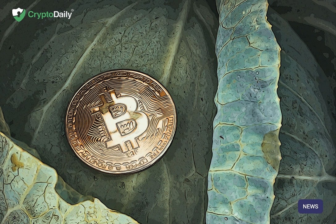 发明btc(发明调休的人还活着吗) 发明btc(发明调休的人还活着吗)