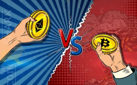 BTC谁在亏(btc谁在操盘)