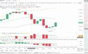btc今日行情最新分析(2024未来1个莱特币的价格)