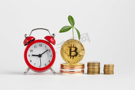 btc时钟(btc是什么化学物质)