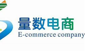 数投BTC(数投集团有限公司)
