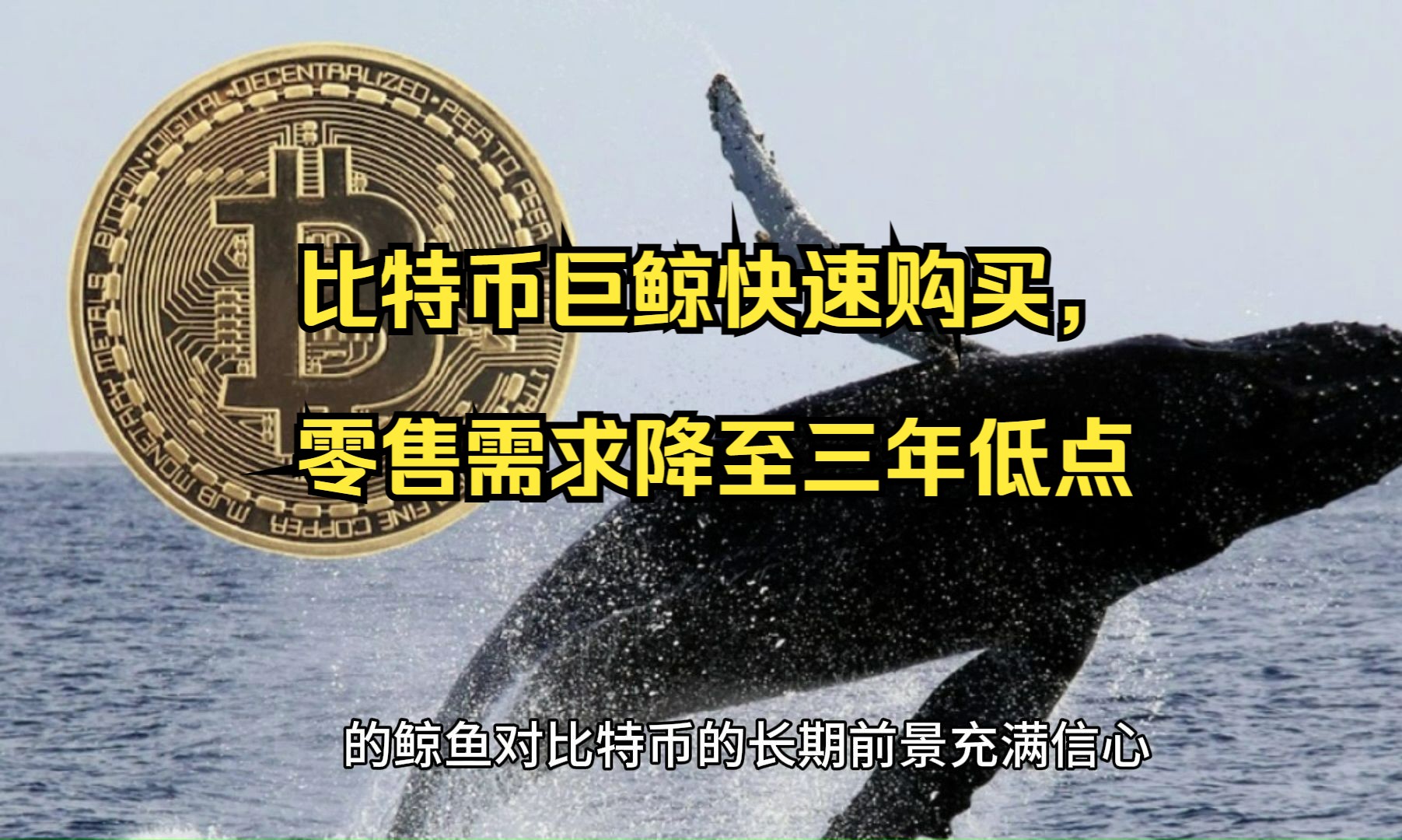 btc零售网站(btc tradeim)