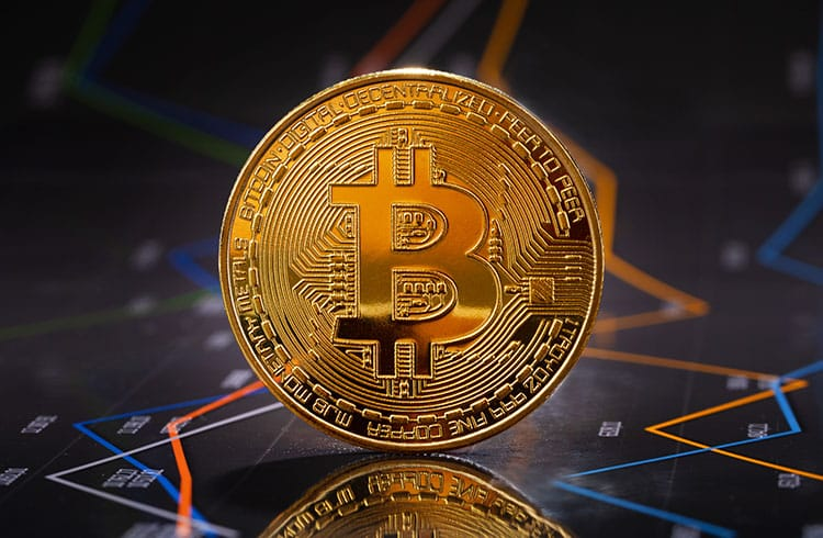今年btc(今年BTC上涨)