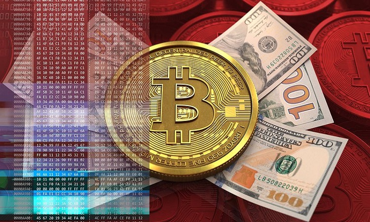 btc其它(btc钱包官网)