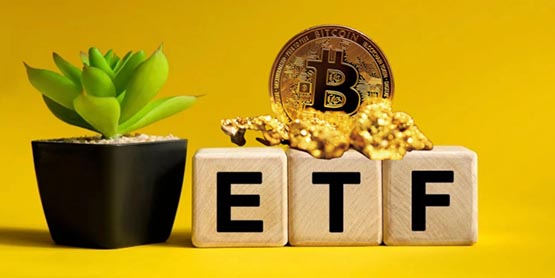 btc被监管(中国btc监管)